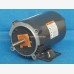 Dayton 6K578C Jet Pump Motor (New) Dayton 6K578C Jet Pump Motor (New)